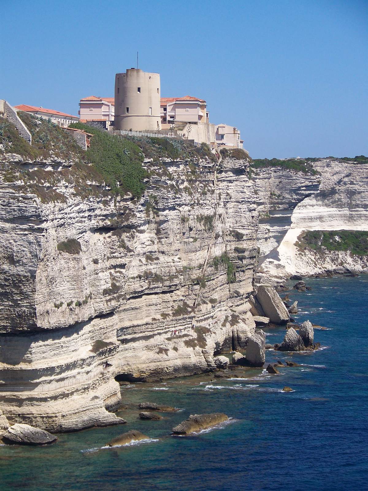Bonifacio