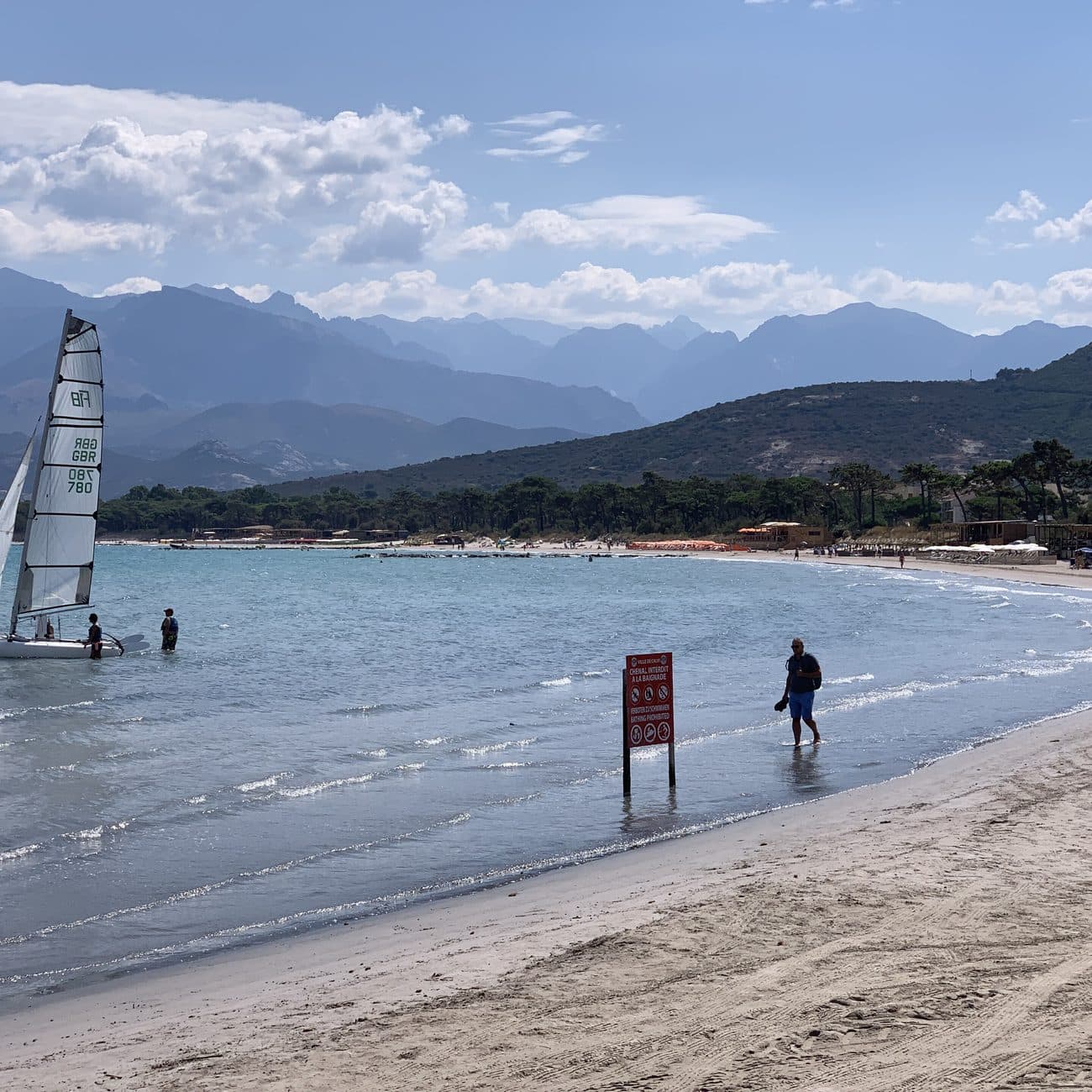 Calvi