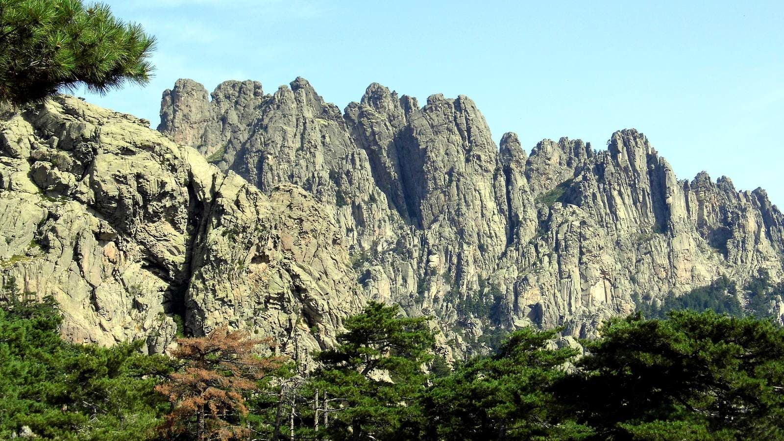 Corse