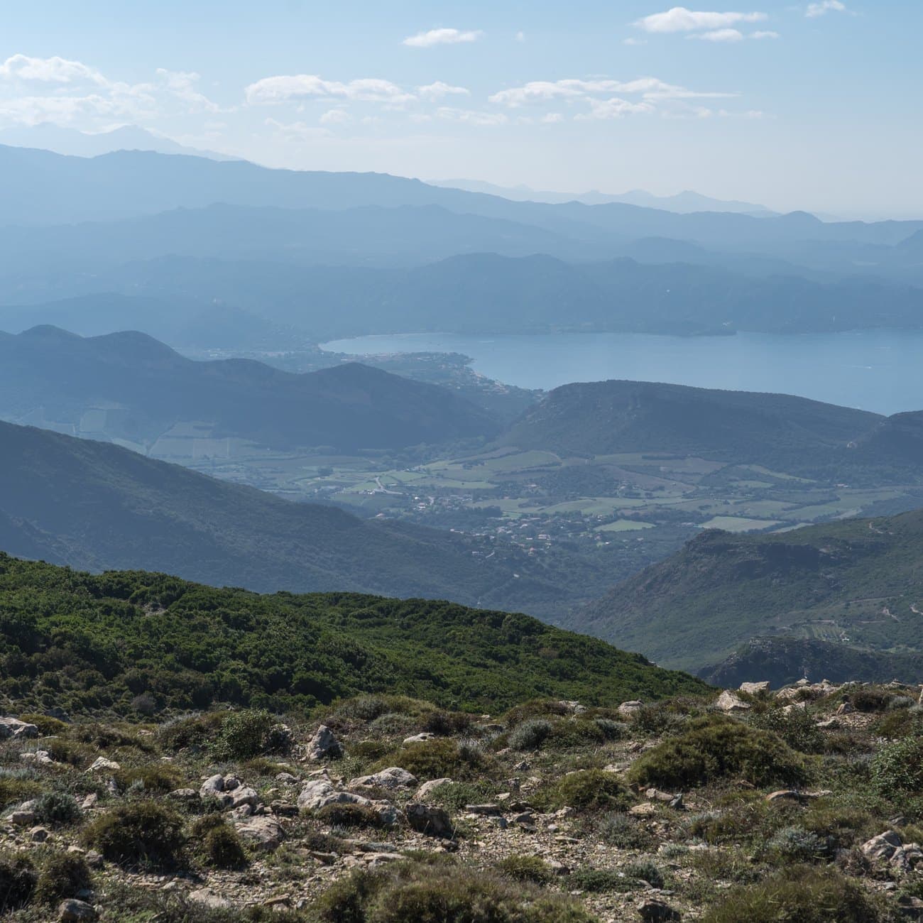 Corse