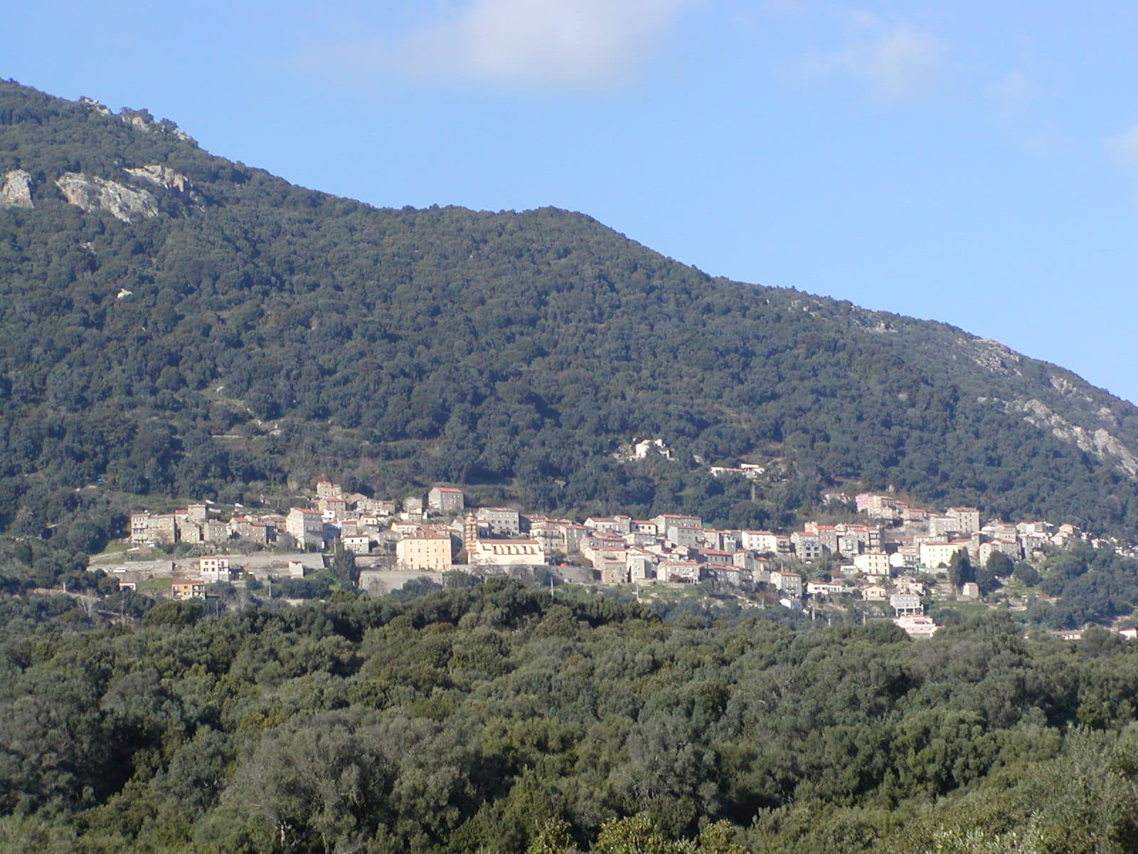 Olmeto